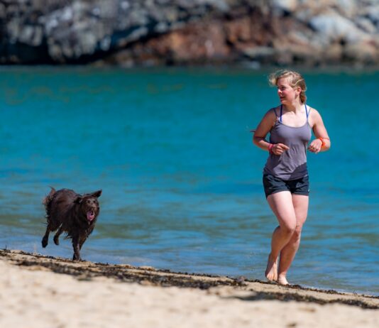 여름철 유산소 운동의 중요성 woman and dog running in seashore