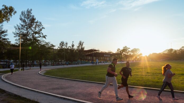 Photo by Alex McCarthy people playing basketball on green grass field during daytime