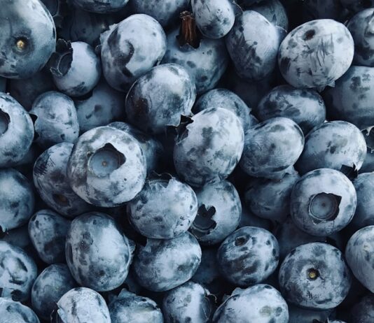 노화의 속도를 늦추는 항산화 식품 black round fruits on white surface