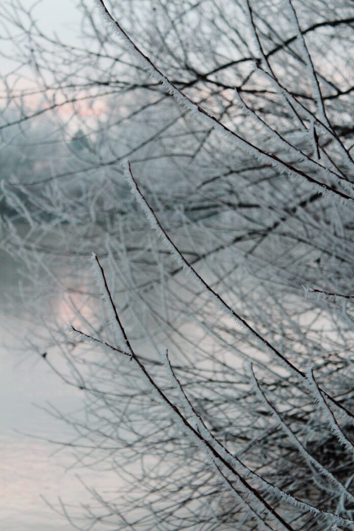 a red fire hydrant sitting on the side of a road