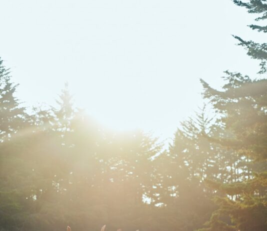 여성 건강관리, 지금부터 시작해야 할 필수 생활 습관 group of people raising their hands