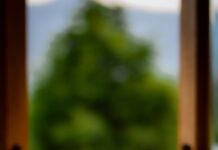 여성 건강관리, 새로운 트렌드와 함께 실천하는 생활 속 작은 변화 white ceramic mug on brown wooden table