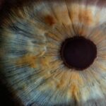 100세 시대의 복병, 노안과 황반변성을 막는 안구 보호 전략 macro photography of human eye
