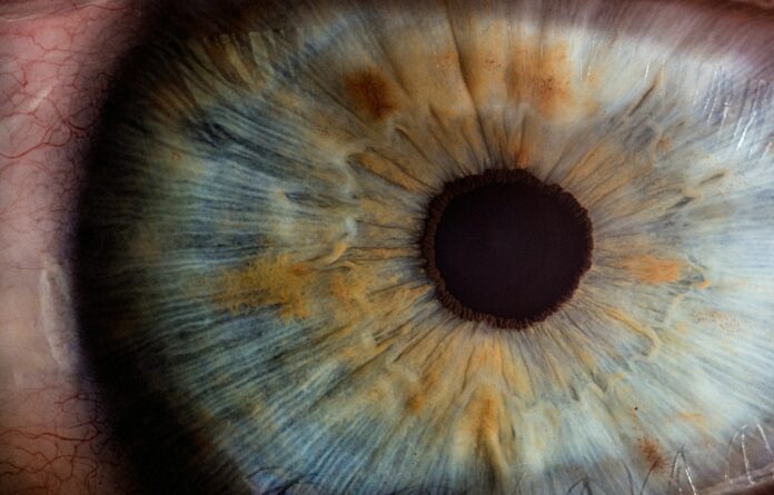 Photo by v2osk macro photography of human eye